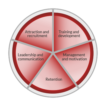 A circle or pie chart graphic representing workforce development. The circle is divided into five segments, indicating five core areas of workforce development. These are labelled as attraction and recruitment, training and development, management and motivation, retention and leadership and communication. 