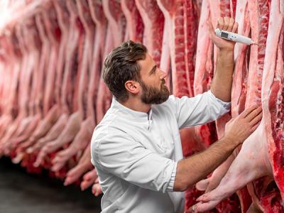Man inspecting pork cuts using thermometer